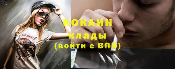 гидра Абаза