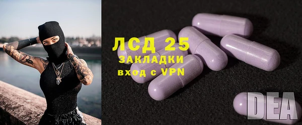 гидра Абаза