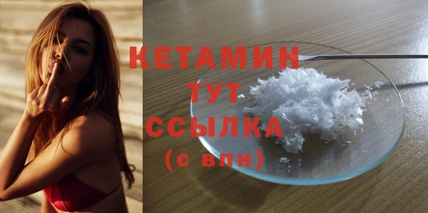 гидра Абаза