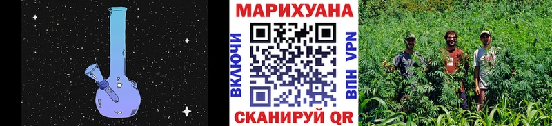 Конопля сатива  Мостовской 